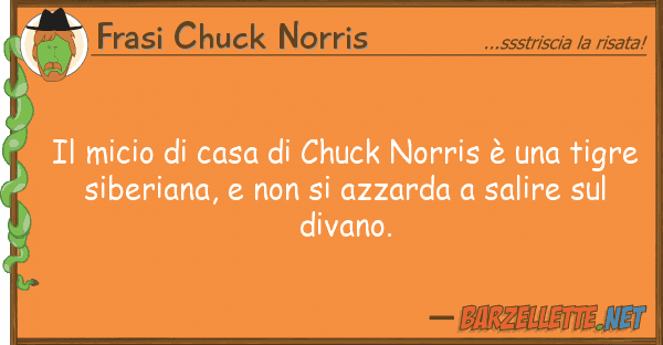 Frasi Chuck Norris micio casa chuck norris è