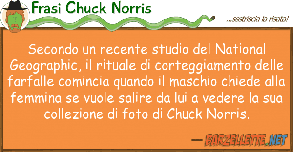 Frasi Chuck Norris secondo recente studio national g