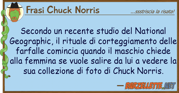 Frasi Chuck Norris secondo recente studio national g