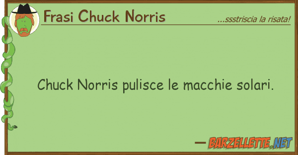 Frasi Chuck Norris chuck norris pulisce macchie solari.