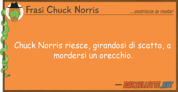 Frasi Chuck Norris chuck norris riesce, girandosi scatto