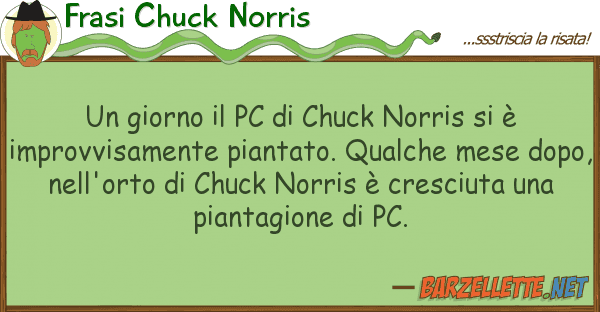 Frasi Chuck Norris giorno pc chuck norris è im
