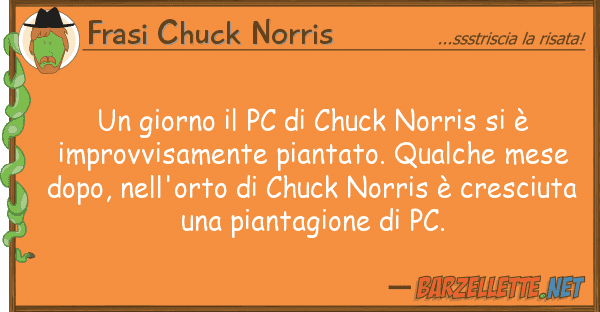Frasi Chuck Norris giorno pc chuck norris è im