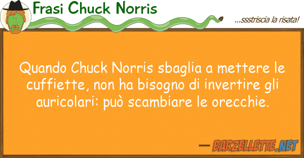Frasi Chuck Norris quando chuck norris sbaglia mettere