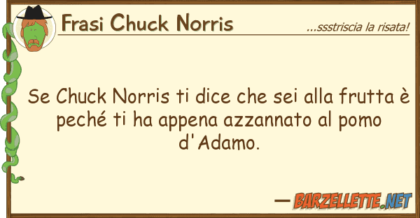 Frasi Chuck Norris chuck norris dice sei fru