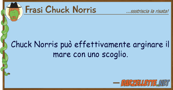 Frasi Chuck Norris chuck norris può effettivamente arginar
