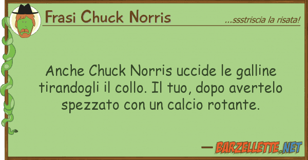 Frasi Chuck Norris chuck norris uccide galline tir