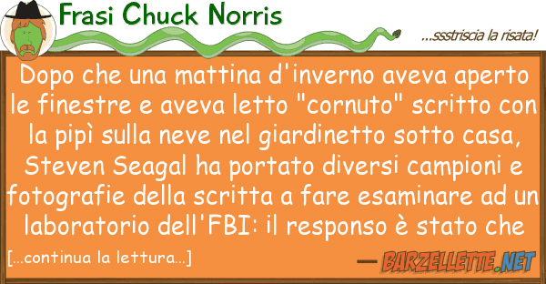 Frasi Chuck Norris dopo mattina d'inverno aveva ape