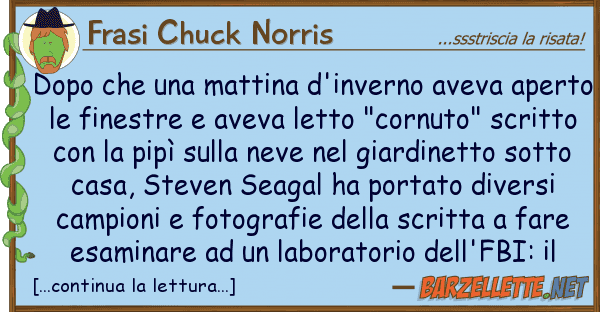 Frasi Chuck Norris dopo mattina d'inverno aveva ape