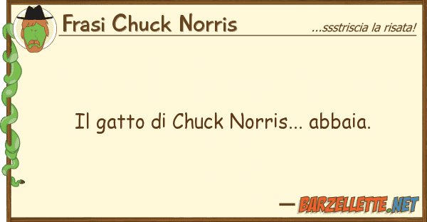 Frasi Chuck Norris gatto chuck norris... abbaia.