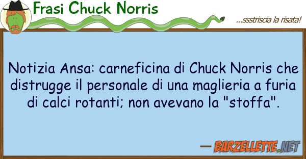Frasi Chuck Norris notizia ansa: carneficina chuck norri