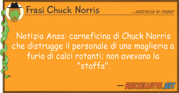 Frasi Chuck Norris notizia ansa: carneficina chuck norri
