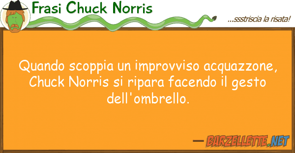 Frasi Chuck Norris quando scoppia improvviso acquazzone,
