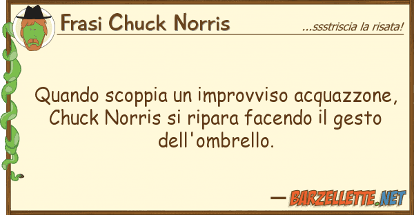 Frasi Chuck Norris quando scoppia improvviso acquazzone,