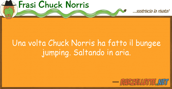 Frasi Chuck Norris volta chuck norris ha fatto bunge
