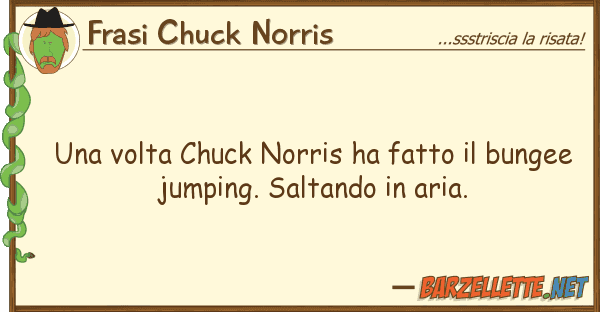 Frasi Chuck Norris volta chuck norris ha fatto bunge
