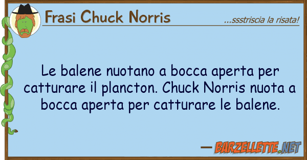 Frasi Chuck Norris balene nuotano bocca aperta cat