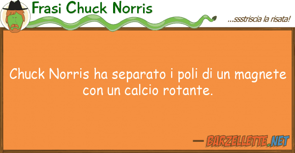 Frasi Chuck Norris chuck norris ha separato poli