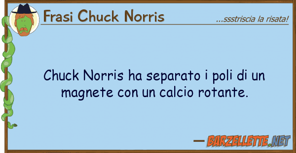 Frasi Chuck Norris chuck norris ha separato poli