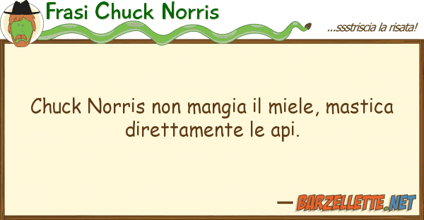 Frasi Chuck Norris chuck norris mangia miele, mastic