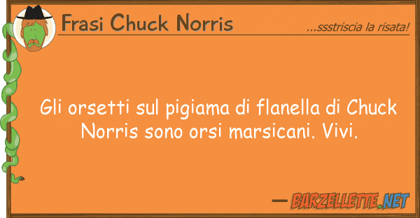 Frasi Chuck Norris orsetti pigiama flanella