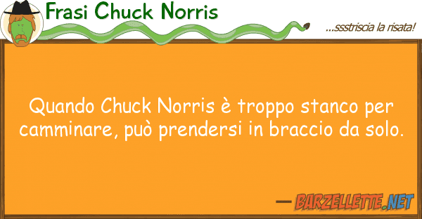 Frasi Chuck Norris quando chuck norris è troppo stanco