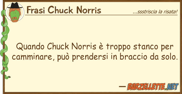 Frasi Chuck Norris quando chuck norris è troppo stanco