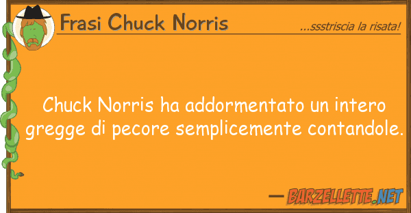 Frasi Chuck Norris chuck norris ha addormentato intero g