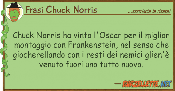 Frasi Chuck Norris chuck norris ha vinto l'oscar mig