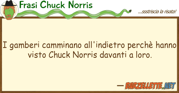 Frasi Chuck Norris gamberi camminano all'indietro perchè