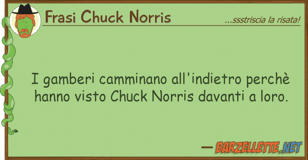 Frasi Chuck Norris gamberi camminano all'indietro perchè