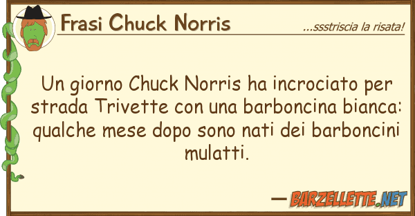 Frasi Chuck Norris giorno chuck norris ha incrociato