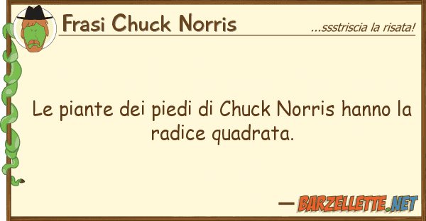 Frasi Chuck Norris piante piedi chuck norris hann