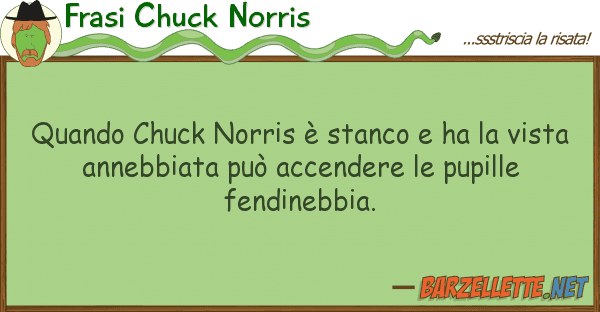 Frasi Chuck Norris quando chuck norris è stanco ha