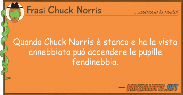 Frasi Chuck Norris quando chuck norris è stanco ha