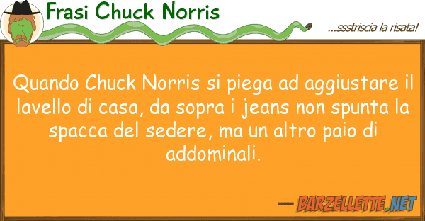 Frasi Chuck Norris quando chuck norris piega aggiusta