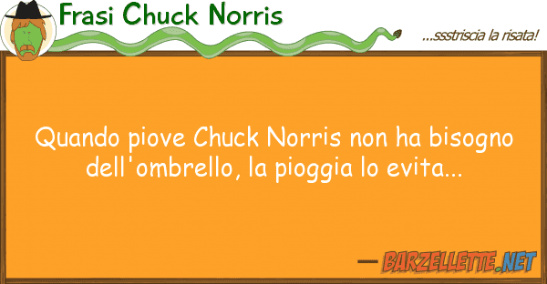 Frasi Chuck Norris quando piove chuck norris ha bisogno