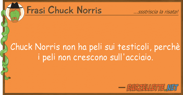 Frasi Chuck Norris chuck norris ha peli testicoli,