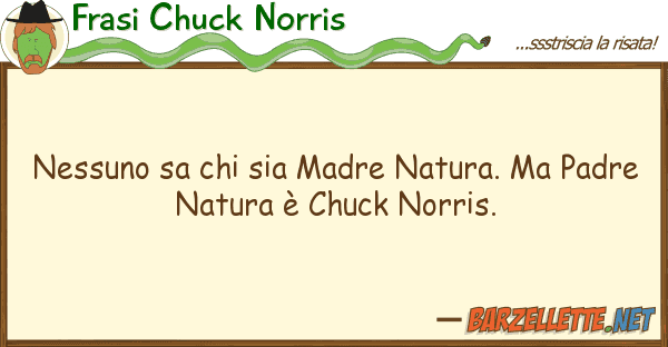 Frasi Chuck Norris nessuno sa sia madre natura. padr