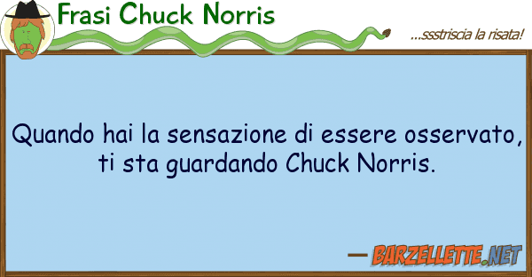 Frasi Chuck Norris quando hai sensazione essere osser