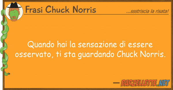 Frasi Chuck Norris quando hai sensazione essere osser