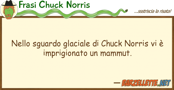 Frasi Chuck Norris sguardo glaciale chuck norris v