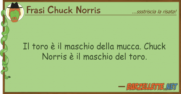 Frasi Chuck Norris toro è maschio mucca. chuck