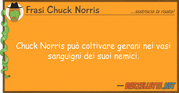 Frasi Chuck Norris chuck norris può coltivare gerani v