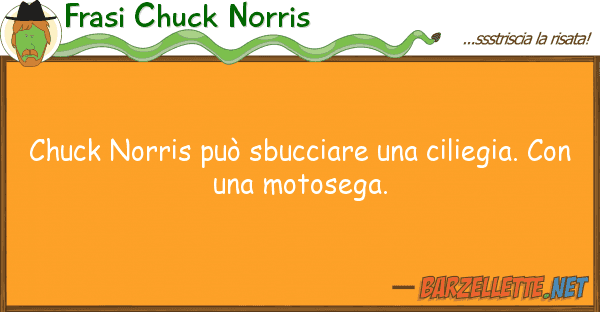 Frasi Chuck Norris chuck norris può sbucciare ciliegia