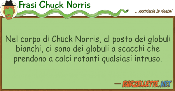 Frasi Chuck Norris corpo chuck norris, posto
