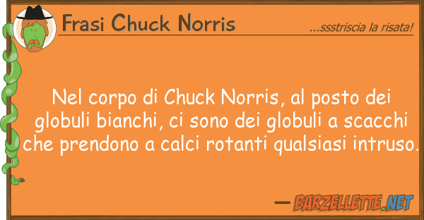 Frasi Chuck Norris corpo chuck norris, posto