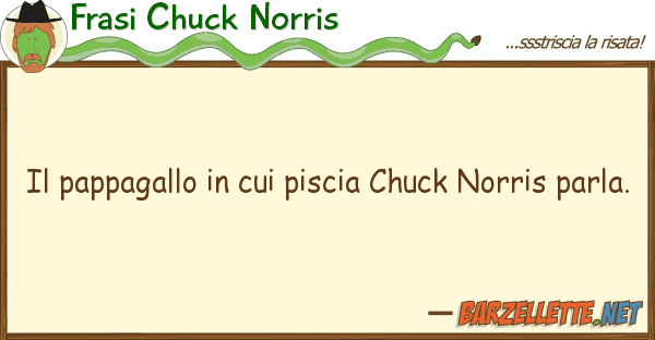 Frasi Chuck Norris pappagallo piscia chuck norris