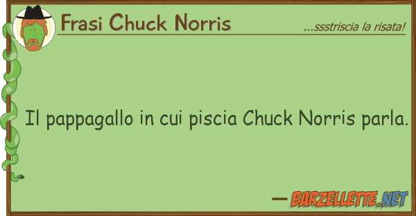 Frasi Chuck Norris pappagallo piscia chuck norris