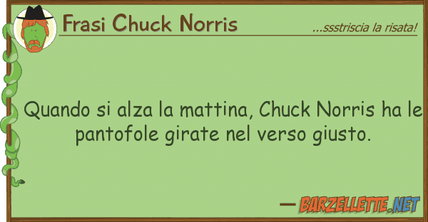 Frasi Chuck Norris quando alza mattina, chuck norris
